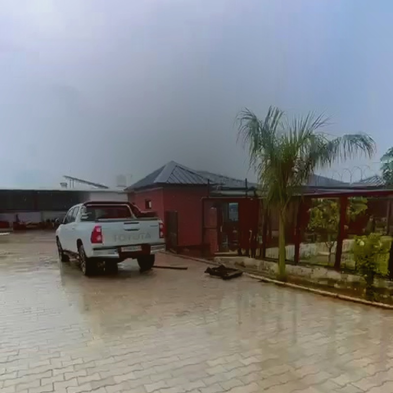 The farmhouse gate, driveway, and palm trees on the Yamuna Expressway belt