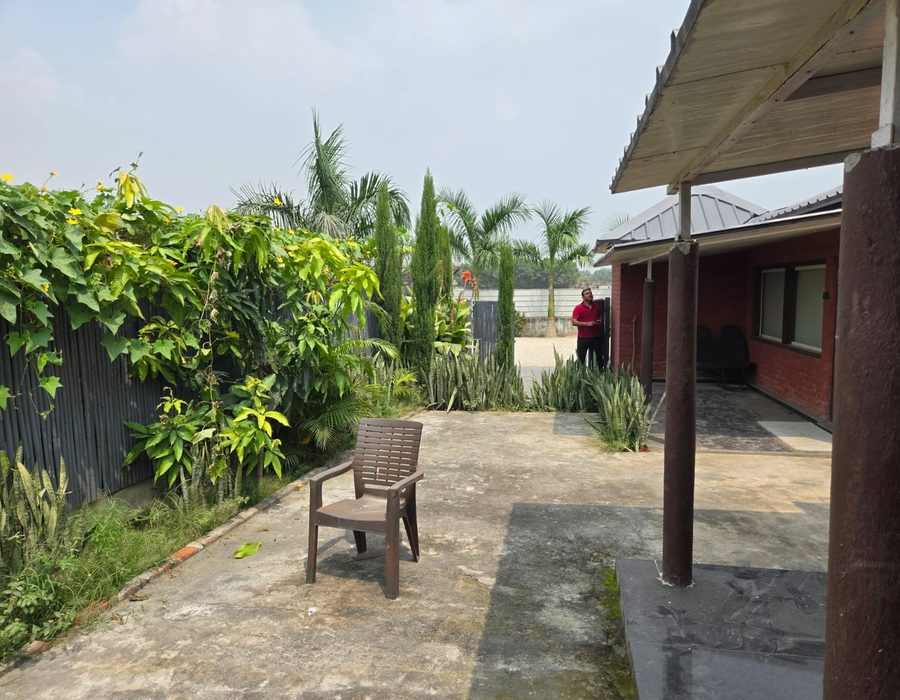 Courtyard with bamboo screen fencing and planting