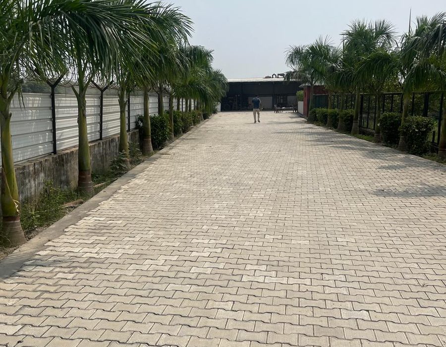 Paver driveway lined with palm trees leading into the farm