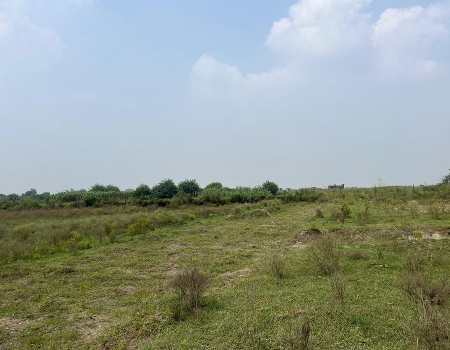 Open farmland stretching out beyond the boundary