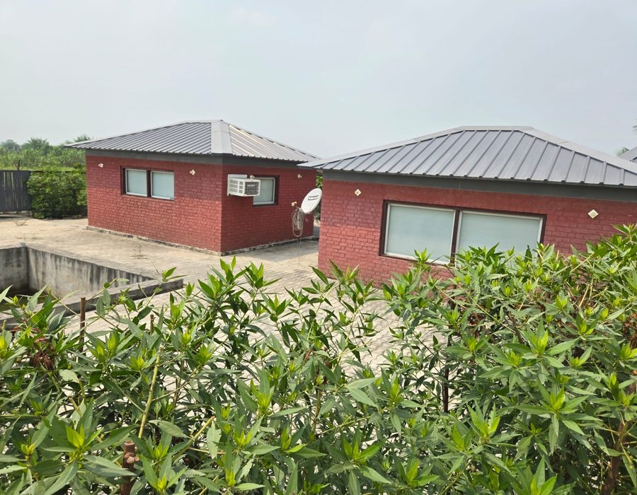 Brick veranda with stone flooring and planting